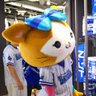 Profilbild von すもみ