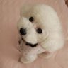 Profilbild von hitomi ※不具合有り