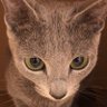 Фото профиля 鴎派なみっつあん