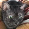 Profilbild von たみぃ