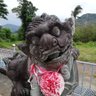 Profilbild von Xiaoxi-Fukuoka🇹🇼