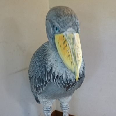 ra0kley's profile picture