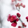 Фото профиля رفعت إسماعيل