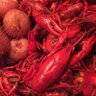 Crawfish Guru 🦞 profil fotoğrafı