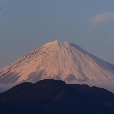 asobi47379737's profile picture