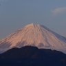 走西口asobi profil fotoğrafı