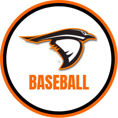 AURavensBSB's profile picture