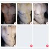 Satoru's profile picture