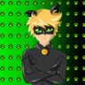 Кіт Нуар 🐾🐾🐾's profile picture