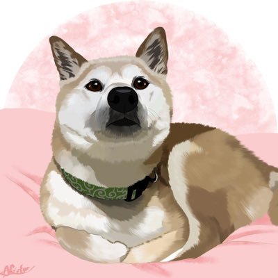 柴犬がっくん's profile picture