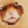Profilbild von 大輔