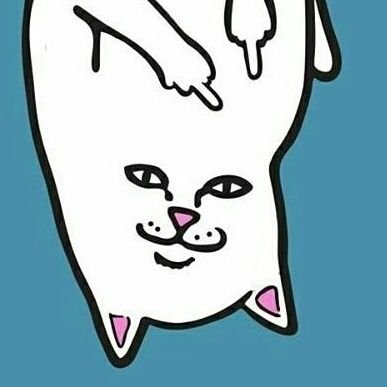 morgensterenko's profile picture