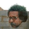 الهوي الثامل's profile picture