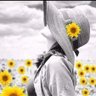 Semay profil fotoğrafı
