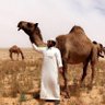 Profilbild von فيصل الميموني