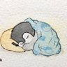 coral(こーらる)'s profile picture