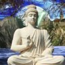 Srini 的头像