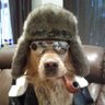 Ian Finlow profil fotoğrafı