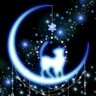 Profilbild von 月と猫