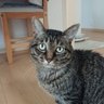 ユキ。 profil fotoğrafı