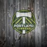 Timbers Fan profil fotoğrafı