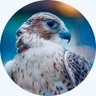 محمد X's profile picture