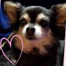 りさぴ's profile picture