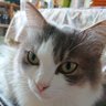 のぶ profil fotoğrafı