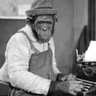 Profilbild von Keyboard Monkey