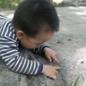 xiaowen82008's profile picture