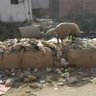 Фото профиля Samta Vihar Resident (mukundpur part 2)