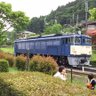 EF6363's profile picture