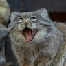 Profilbild von steven morks