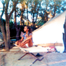 Lizbeth A Glickman, לילה's profile picture