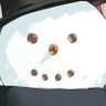 とし坊(弓聖トッシュ=ボゥ)'s profile picture