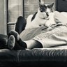 Catnap's profile picture
