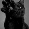 Ватка's profile picture