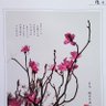 ChinaYang 的头像