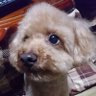 p太郎's profile picture