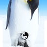 Profilbild von ペンギンのち○ぽ