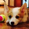 Profilbild von えくぼ