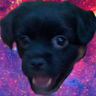 Spilin&grilinin's profile picture