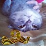 Александр Федоров profil fotoğrafı