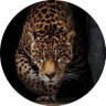 Ahmad__RMAH 的头像