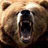 Фото профиля 🐻unBEARable truth🐻