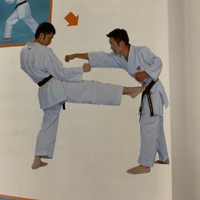 Kinteki_karate's profile picture