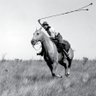 Profilbild von gaucho retobado