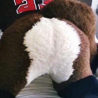 Fursuit Butts!'s profile picture
