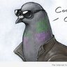 Stephen McC's profile picture