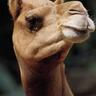 ヒーローヒロ profil fotoğrafı